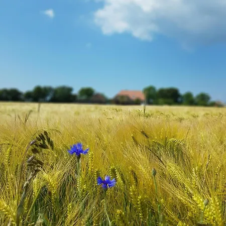 Haus Im Felde Whg 5 * Fehmarn