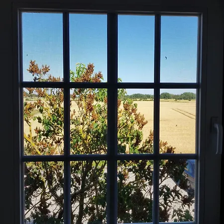 Haus Im Felde Whg 5 Lejlighed